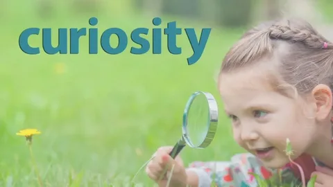 The Role of Curiosity in Effective Learning