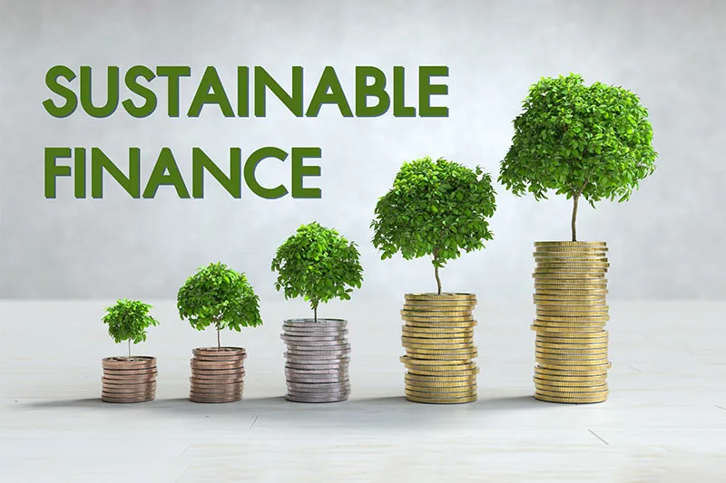 How Financial Planning Supports Sustainable Growth
