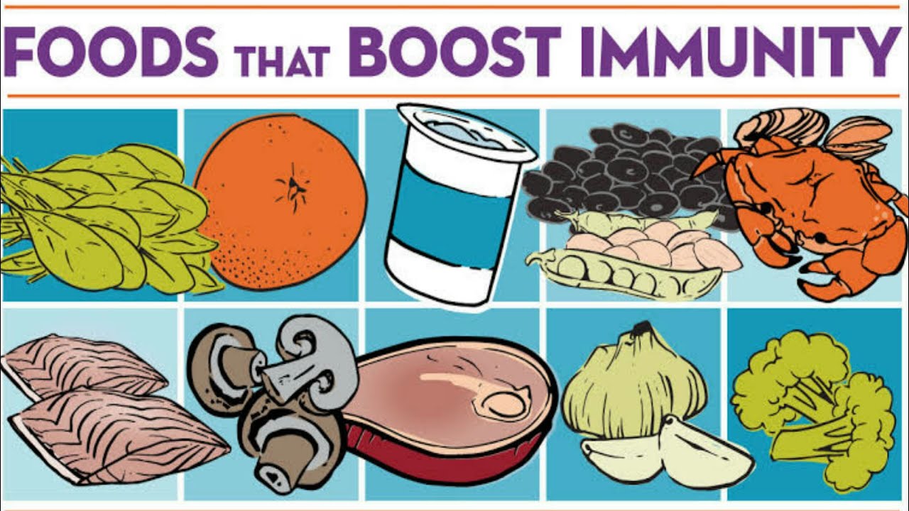 How Balanced Diets Support Immune Health